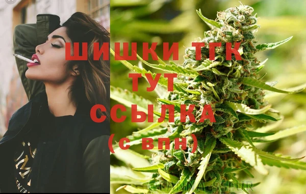 стафф Богородск