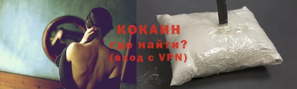 стафф Богородск