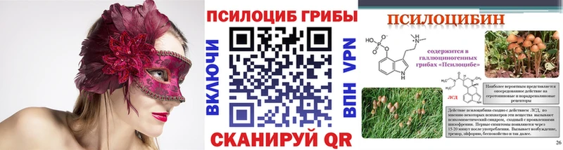 ОМГ ОМГ сайт  Тамбов  Псилоцибиновые грибы Cubensis  где можно купить  