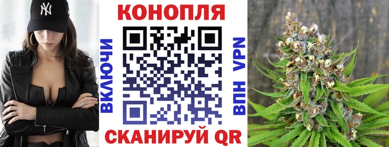 как найти закладки  Тамбов  Канабис конопля 